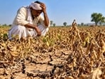 Eight farmers died by suicide a day from Jan 2022 to June 2026 in Maharashtra: RTI