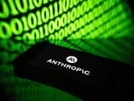 Anthropic's filing shows rapidly growing sales while setting out a range of risks for investors, from its conflict with the Trump administration to AI systems acting on their own.