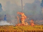 The annual monitoring period for stubble burning begins on September 15, ahead of the paddy procurement season that starts on October 1. (HT FILE)