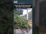 Cyclone Arnab: Strong Winds Uproot Trees, One Falls on House Amid High Alert | HT India
