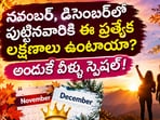 నవంబర్, డిసెంబర్‌లో పుట్టినవారికి ఈ ప్రత్యేక లక్షణాలు ఉంటాయా? అందుకే వీళ్ళు స్పెషల్!(AI)