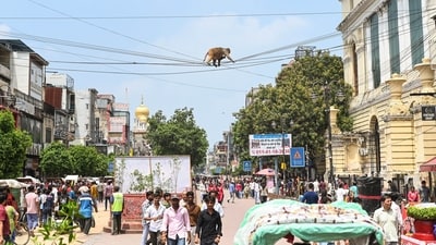 CTI estimated that a rally attended by 10 lakh people could bring 15,000 to 20,000 vehicles into Delhi. (Representational Image/ANI Photo) CTI estimated that a rally attended by 10 lakh people could bring 15,000 to 20,000 vehicles into Delhi. (Representational Image/ANI Photo)