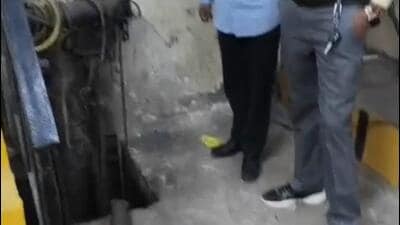 The department has further directed officials to inspect STPs in societies under their jurisdiction periodically and ensure that untreated sewage was not discharged into drains. (HT Photo) The department has further directed officials to inspect STPs in societies under their jurisdiction periodically and ensure that untreated sewage was not discharged into drains. (HT Photo)