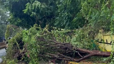 <p>గంటకు 100-140 కిమీ వేగంతో బలమైన ఈదురుగాలులు వీచే అవకాశం ఉంది. పూరిళ్లు, రేకుల షెడ్లలో నివసించే వారు దగ్గరలోని పునరావాస కేంద్రాలకు వెంటనే వెళ్ళాలి. మీ ప్రాంతంలోని తుపాన్ సమస్యలకు మనమిత్ర వాట్సాప్ నంబర్ 9552300009 ద్వారా వేగవంతమైన పరిష్కారం దొరుకుతుంది. అత్యవసర సహాయం కోసం విపత్తుల నిర్వహణ సంస్థ టోల్ ఫ్రీ నంబర్లు 1070, 112, 18004250101లను సంప్రదించండి.</p> <p>గంటకు 100-140 కిమీ వేగంతో బలమైన ఈదురుగాలులు వీచే అవకాశం ఉంది. పూరిళ్లు, రేకుల షెడ్లలో నివసించే వారు దగ్గరలోని పునరావాస కేంద్రాలకు వెంటనే వెళ్ళాలి. మీ ప్రాంతంలోని తుపాన్ సమస్యలకు మనమిత్ర వాట్సాప్ నంబర్ 9552300009 ద్వారా వేగవంతమైన పరిష్కారం దొరుకుతుంది. అత్యవసర సహాయం కోసం విపత్తుల నిర్వహణ సంస్థ టోల్ ఫ్రీ నంబర్లు 1070, 112, 18004250101లను సంప్రదించండి.</p>