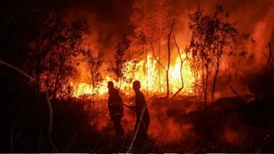 Firefighters work on cointaining a wildfire in Banjarbaru, South Kalimantan province, on October 13, 2026. (AFP) Firefighters work on cointaining a wildfire in Banjarbaru, South Kalimantan province, on October 13, 2026. (AFP)