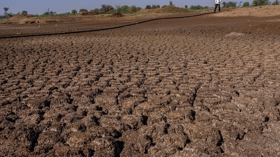File photo: A farmer walks on a lake that has dried up due to drought outside Beed, India.(AP)