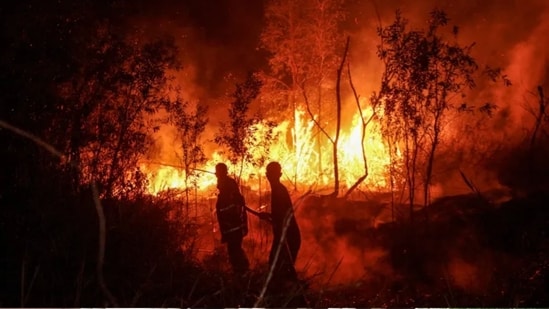 Firefighters work on cointaining a wildfire in Banjarbaru, South Kalimantan province, on October 13, 2026.