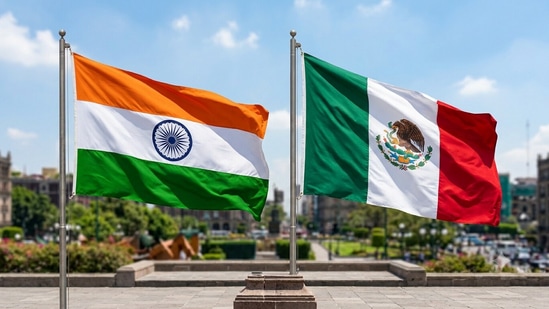 The proposed India-Mexico PTA is expected to shield Indian exporters from high tariffs up to 50% imposed by the Mexican government on 1,463 items on imports from countries with which it does not have any bilateral deal (Representative image)