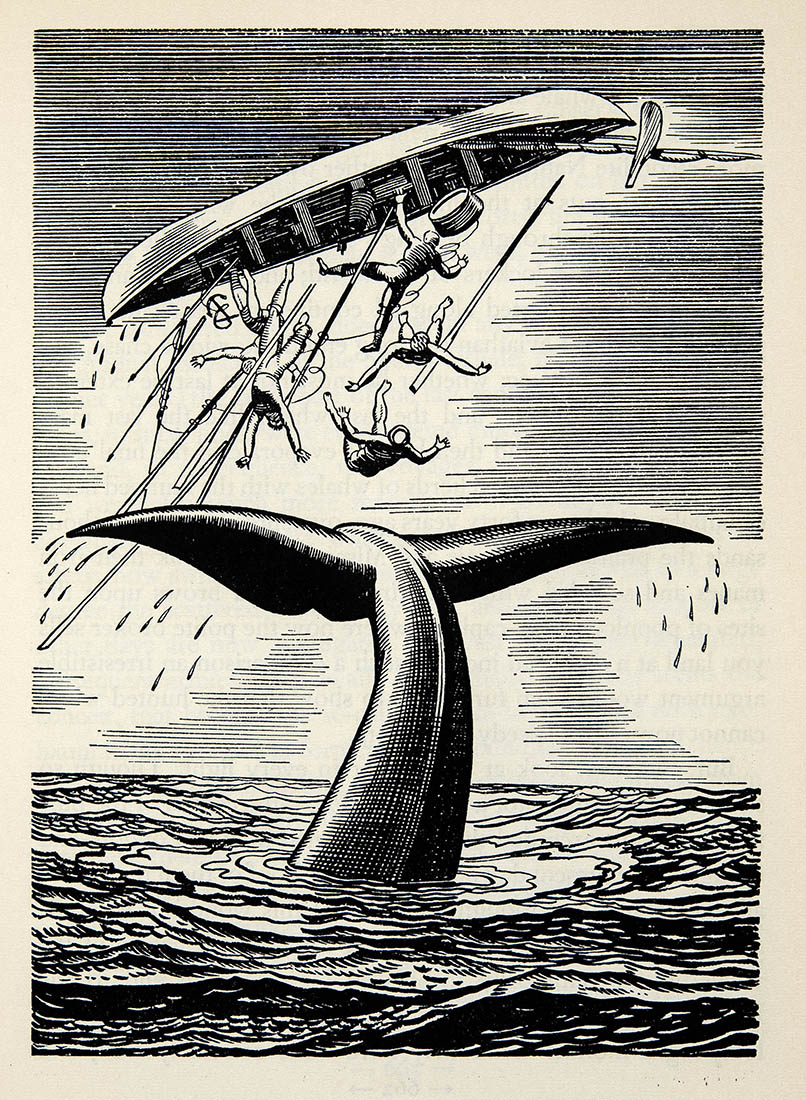 An illustration in the novel. (From the collection of the Massachusetts Historical Society.) An illustration in the novel. (From the collection of the Massachusetts Historical Society.)
