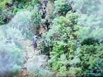 Police use drone surveillance to track down 13 of the 17 inmates who escaped from the Thekkampatti Sub-Jail through dense forested terrain, in Theni on Tuesday.