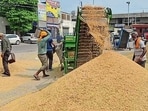 Paddy procurement in progress at a grain market in Ludhiana on Wednesday. (HT)