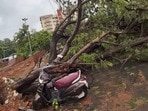 అర్నబ్ తుపాను