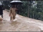ఏపీ ఫ్లాష్ ఫ్లడ్స్