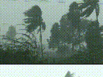 Cyclone Arnab: Gusty Winds, Heavy Downpours Lash Machilipatnam | #shorts