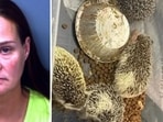 Kelli Pinnock: Woman arrested after El Paso traffic stop leads to discovery of 72 exotic animals