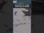 Prayagraj: Migratory Siberian Birds Flock to Sangam Ahead of Winter | HT India