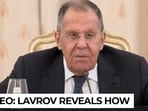Lavrov drops the bomb: ‘Blooming garden, surrounded by jungles’, Putin's top man mocks Europe