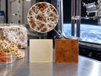 Representative image showing fungal-based composite materials alongside plant-derived plastic samples in an orbital laboratory setting.(AI-generated/ ChatGPT)