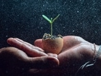 Carl Jung on symbolic rebirth: Why personal transformation can feel like an ending