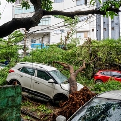 A tree lies uprooted over a car following heavy rainfall and strong winds triggered by Cyclone Arnab, in Visakhapatnam, Andhra Pradesh. 
