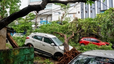 A tree lies uprooted over a car following heavy rainfall and strong winds triggered by Cyclone Arnab, in Visakhapatnam, Andhra Pradesh. (PTI) A tree lies uprooted over a car following heavy rainfall and strong winds triggered by Cyclone Arnab, in Visakhapatnam, Andhra Pradesh. (PTI)