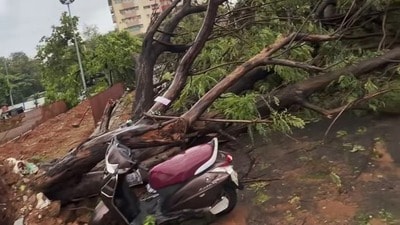 అర్నబ్ తుపాను అర్నబ్ తుపాను