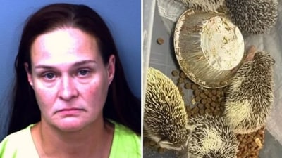 Kelli Pinnock: Woman arrested after El Paso traffic stop leads to discovery of 72 exotic animals (El Paso County Sheriff Oscar Ugarte/Facebook, EPCSO )