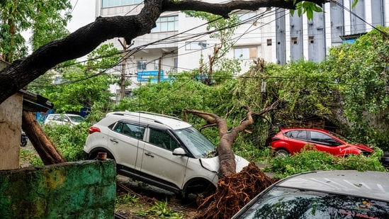 A tree lies uprooted over a car following heavy rainfall and strong winds triggered by Cyclone Arnab, in Visakhapatnam, Andhra Pradesh.