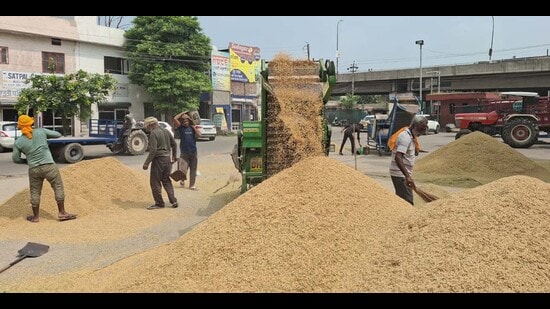 Paddy procurement in progress in a grain market on Wednesday. (HT Photo)