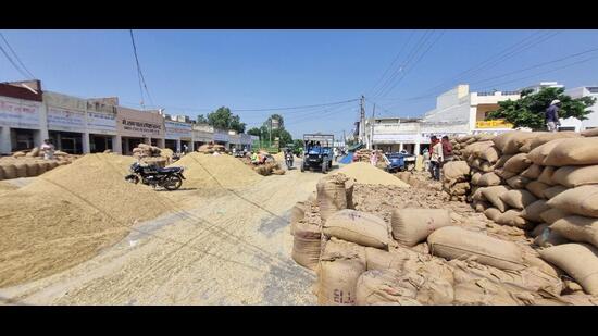 Transporters and arhtiyas say employees spend excessive time on formalities instead of operations, while internet connectivity issues compound the problem. (HT Photo)