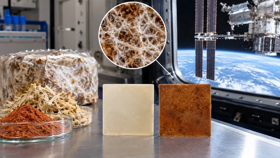 Representative image showing fungal-based composite materials alongside plant-derived plastic samples in an orbital laboratory setting.