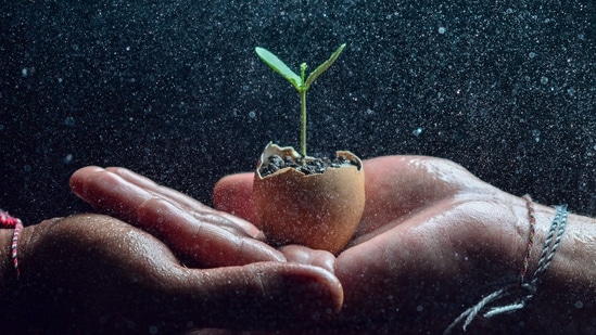 Carl Jung on symbolic rebirth: Why personal transformation can feel like an ending