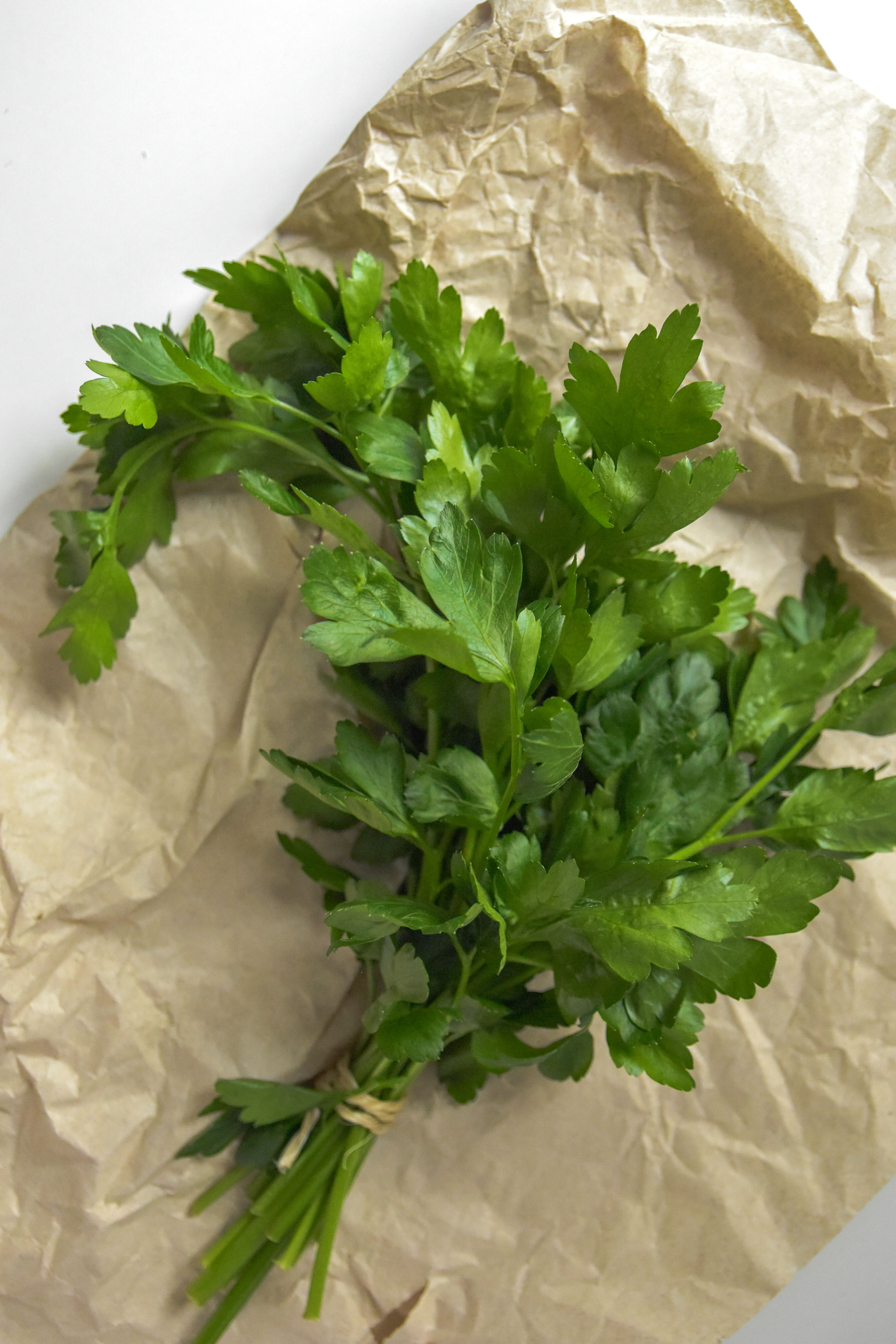 Coriander leaves wilt quickly in the refrigerator primarily because they lose moisture rapidly. (Pexel) Coriander leaves wilt quickly in the refrigerator primarily because they lose moisture rapidly. (Pexel)
