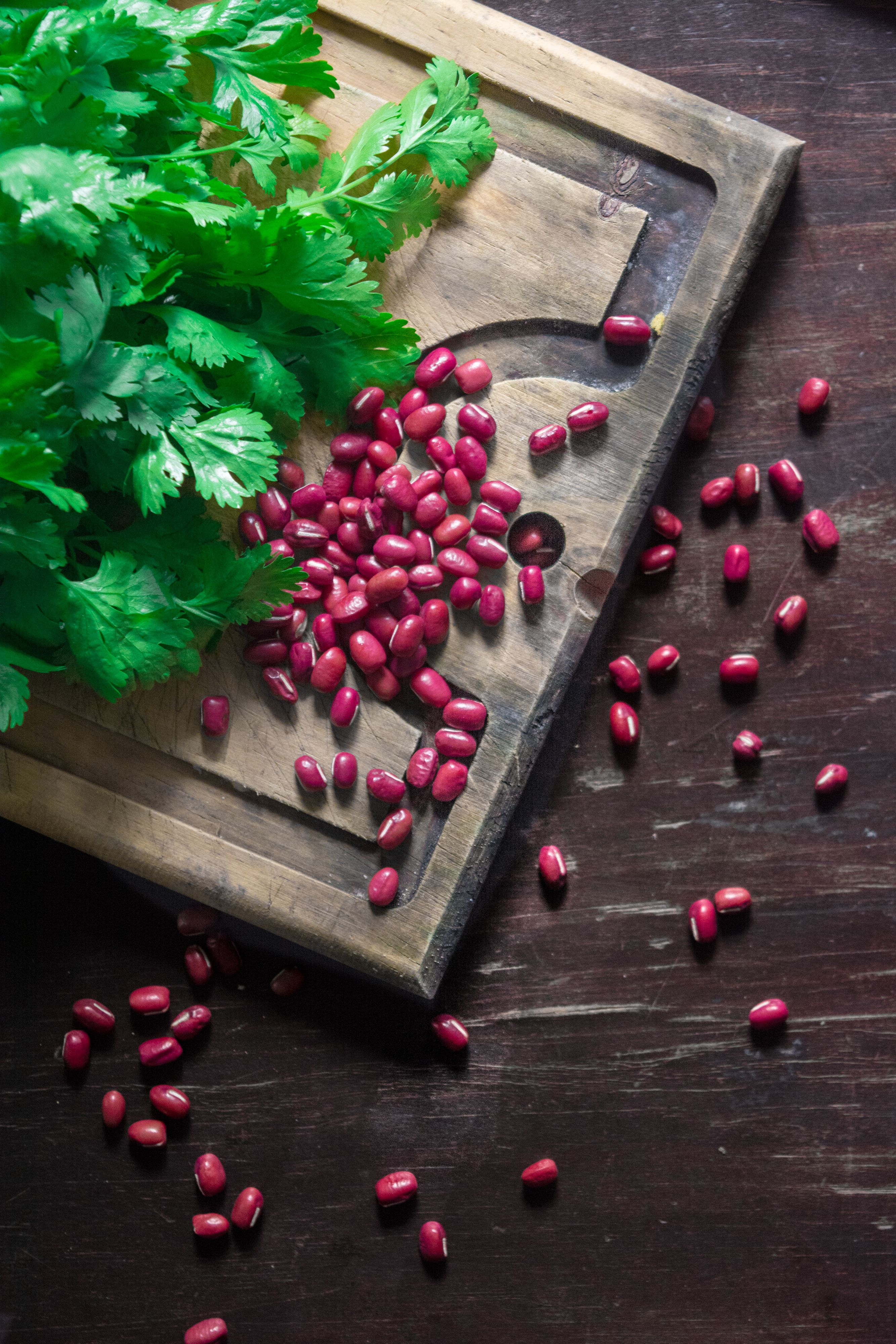 Once coriander is cut from the plant, it can no longer absorb water through its roots. (Pexel) Once coriander is cut from the plant, it can no longer absorb water through its roots. (Pexel)