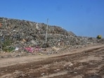 A view of the site where a bamboo garden was planted covered with garbage near the Bhalswa landfill in New Delhi. (Hindustan Times)