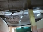 According to VJTI students, the hostel buildings are dilapidated and safety nets have been installed at some locations to prevent injuries due to falling plaster or debris