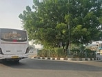 According to the RTI reply dated October 21, the largest plantation drive was undertaken along the Rampura flyover–Dadi Sati Chowk stretch, where 22,500 trees and 150,000 shrubs were planted. (HT Photo)
