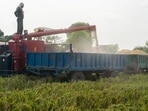 India must stop expanding ethanol from first-generation feedstocks beyond what E20 requires. Rice-based ethanol should be phased out first, while maize and cane allocations should follow feed availability and genuine sugar surpluses. (Bloomberg)