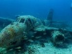 Twenty-six retired Navy aircraft were placed off Volusia County in 1996 to provide underwater habitat. The scattered planes, now part of Florida’s artificial reef network.