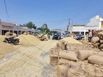 Transporters and arhtiyas say employees spend excessive time on formalities instead of operations, while internet connectivity issues compound the problem. (HT Photo)