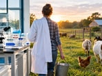 Representative image of a scientist leaving laboratory research behind to pursue her passion for animals and build a new life through pasture-based farming.
