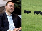 From courtroom to paddock: Matt Wong’s unplanned journey into regenerative farming.
