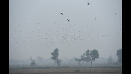 Gzb: All 10 air-quality monitoring stations to be operational in Nov Gzb: All 10 air-quality monitoring stations to be operational in Nov