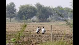Noida amends Master Plan-’31 to allot pending 5% plots for farmers Noida amends Master Plan-’31 to allot pending 5% plots for farmers