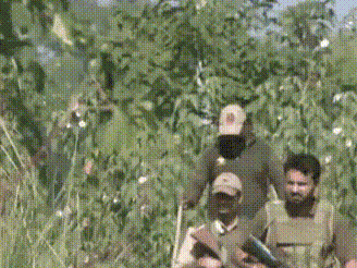 Indian security forces strengthen border surveillance along Jammu International border