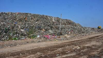 A view of the site where a bamboo garden was planted covered with garbage near the Bhalswa landfill in New Delhi. (Hindustan Times) A view of the site where a bamboo garden was planted covered with garbage near the Bhalswa landfill in New Delhi. (Hindustan Times)