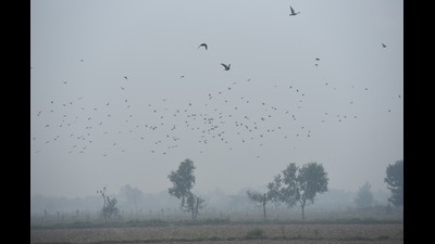 As of Thursday, Ghaziabad has a total of eight stations in operation as per the Central Pollution Control Board’s Sameer app. (Sakib Ali/HT Photo) As of Thursday, Ghaziabad has a total of eight stations in operation as per the Central Pollution Control Board’s Sameer app. (Sakib Ali/HT Photo)