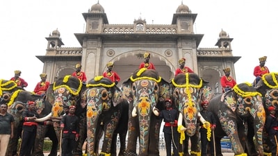 A traditional pooja day after conclusion of 'Dasara' festival, at Mysore Palace, in Mysuru, Karnataka. (PTI Photo) A traditional pooja day after conclusion of 'Dasara' festival, at Mysore Palace, in Mysuru, Karnataka. (PTI Photo)