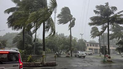 Puri: Coconut trees sway amid gusty winds and heavy rainfall triggered by Cyclone 'Arnab', in Puri, Odisha, Wednesday, Oct. 28, 2026. (PTI) Puri: Coconut trees sway amid gusty winds and heavy rainfall triggered by Cyclone 'Arnab', in Puri, Odisha, Wednesday, Oct. 28, 2026. (PTI)