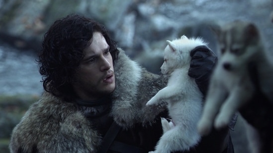 In the George RR Martin's Game of Thrones universe, dire wolves are huge, legendary creatures deeply connected to the Stark family, serving as loyal companions and powerful symbols of their resilience and identity.(HBO)